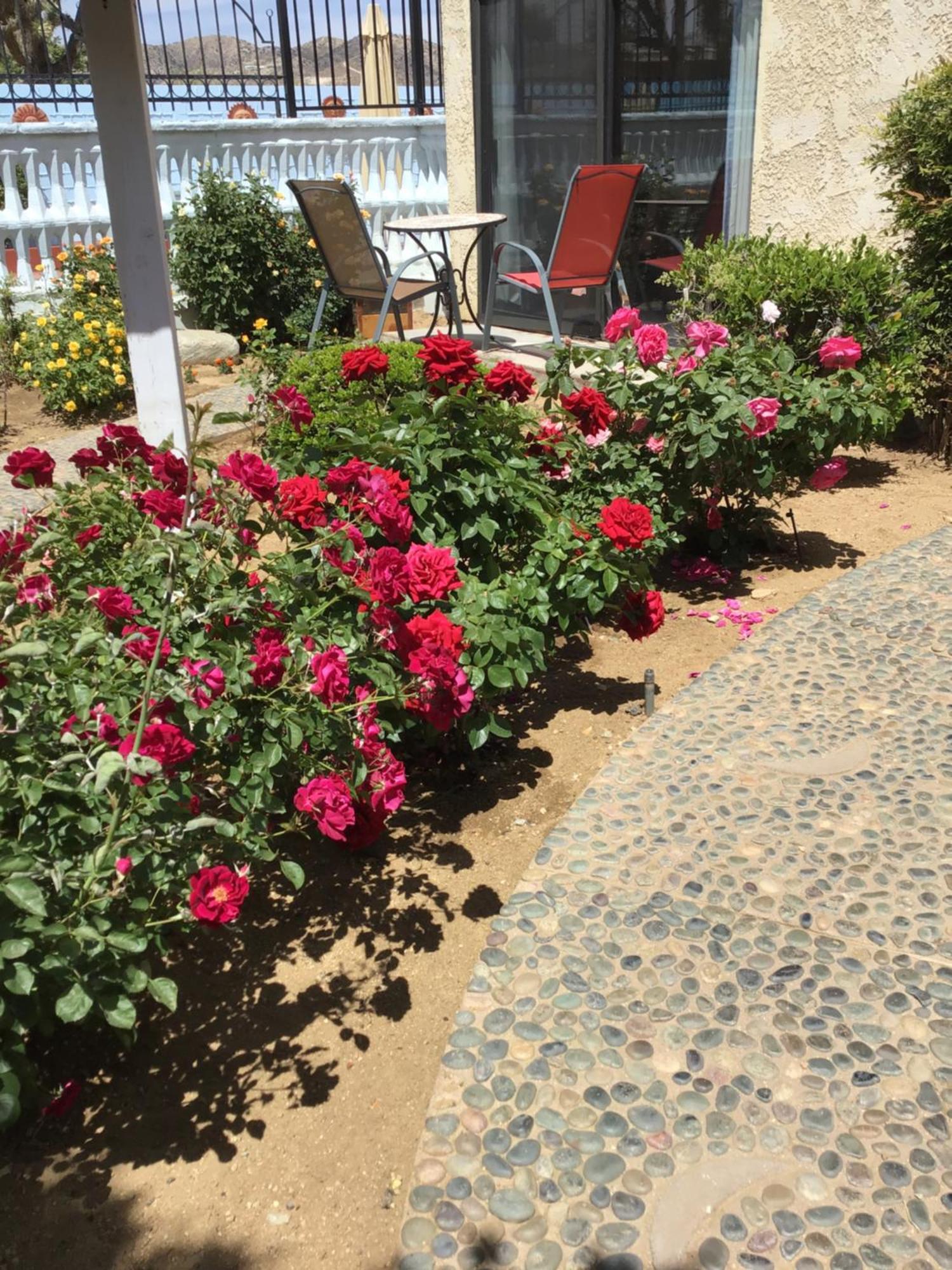 Americas Best Value Inn And Suites -Yucca Valley Eksteriør billede
