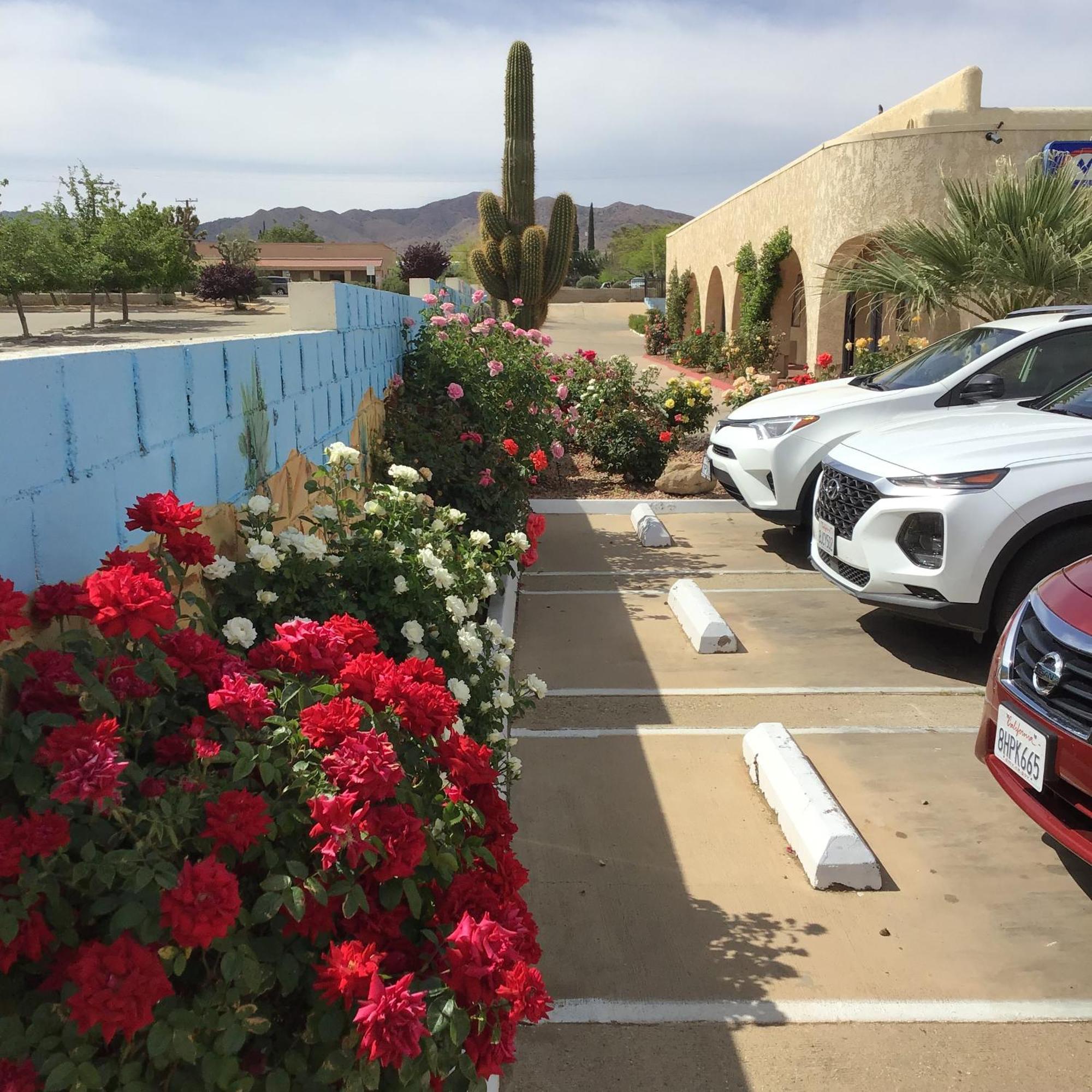 Americas Best Value Inn And Suites -Yucca Valley Eksteriør billede