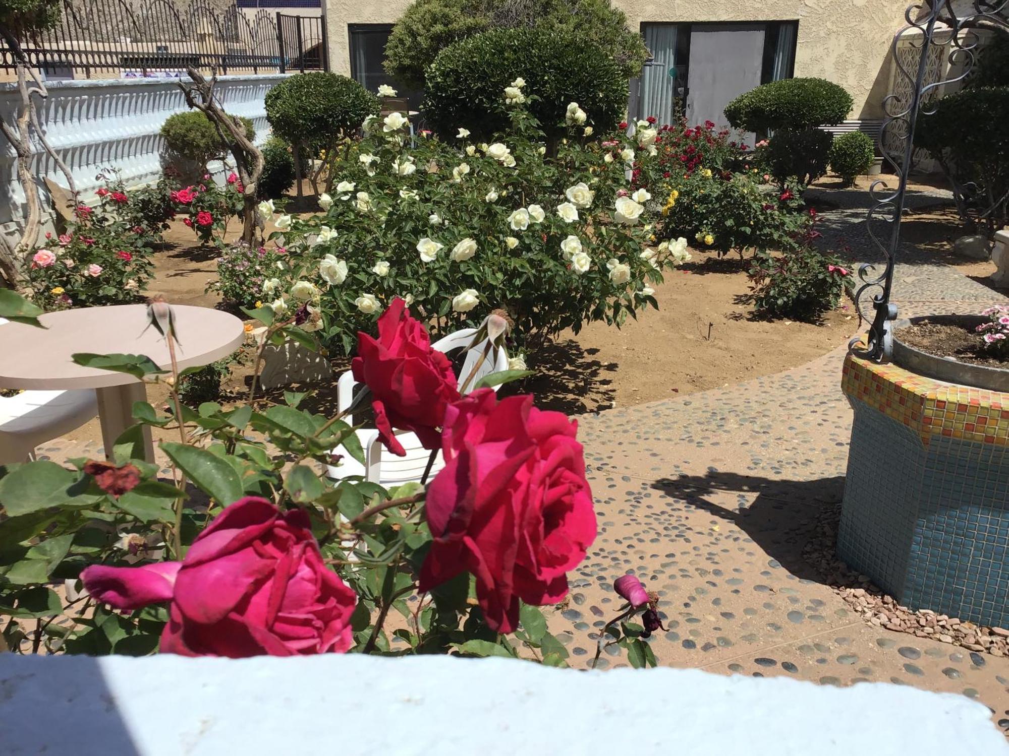 Americas Best Value Inn And Suites -Yucca Valley Eksteriør billede